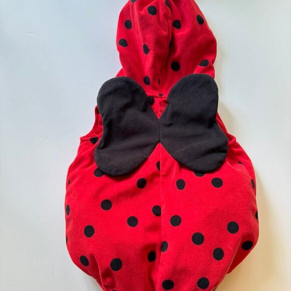Carter's Lady Bug costume outfit sz 12m - Picture 5 of 5